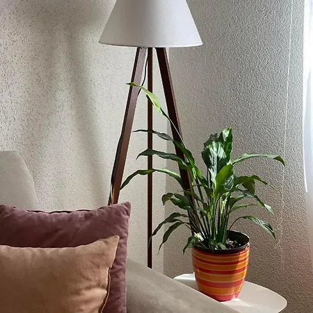 Dzenx Apartment
