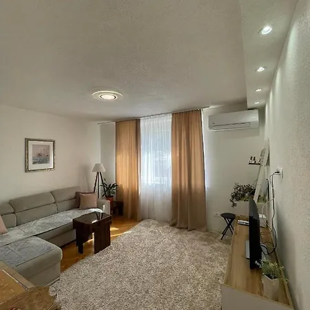 Apartment Dzenx